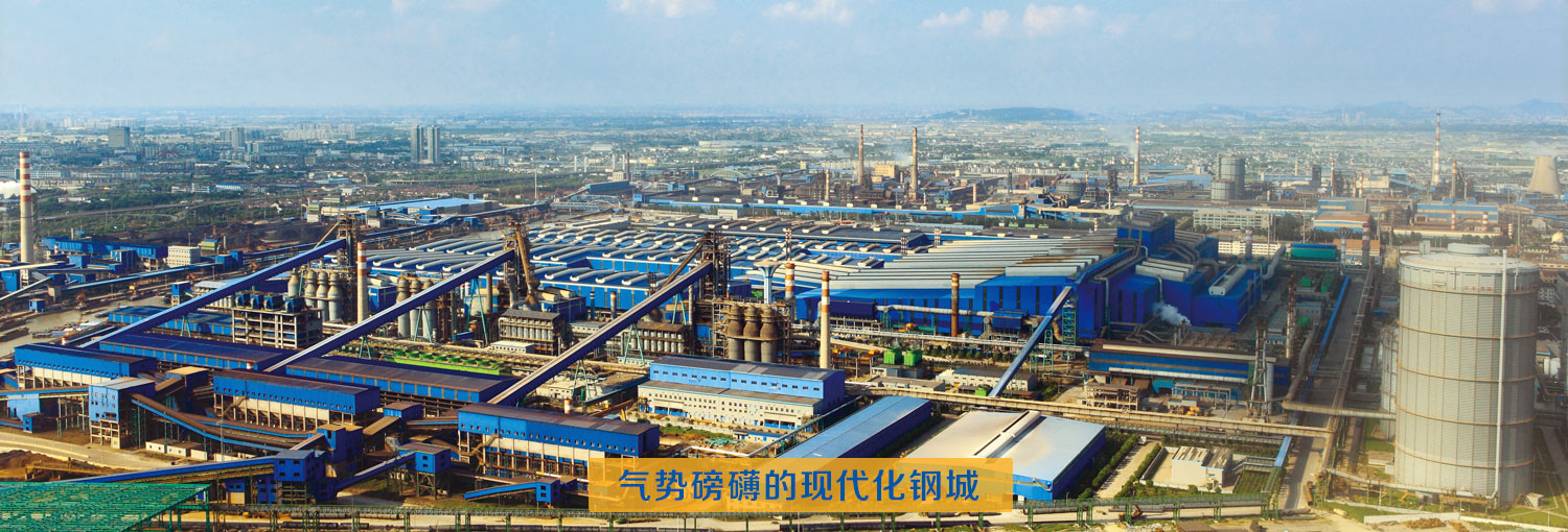 中天钢铁集团有限公司